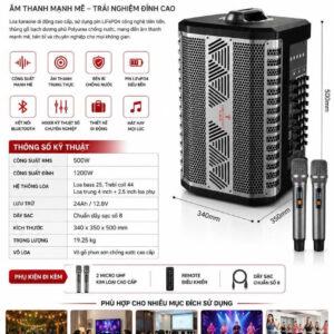 Loa JT10-66Pro Bass 25cm, RMS 500W, 2 Micro UHF